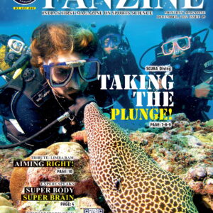 SSI FANZINE DECEMBER EDITION (HARD COPY)