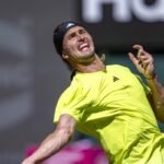 Zverev overcomes stomach bug to set up Halle semifinal with Medvedev