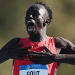 gout gout