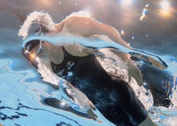 Summer McIntosh Chases History with Double Gold at World Swimming Championships