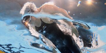 Summer McIntosh Chases History with Double Gold at World Swimming Championships