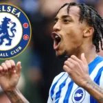 Joao Pedro Chelsea GFX.jpg