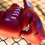deccanherald_2024-03_7bdc934d-0907-49da-8835-be7e39c77dc4_boxing_pixabay_1057542_1638611583