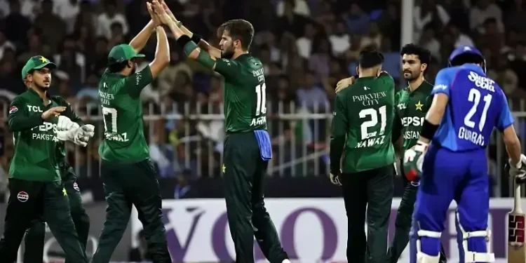 Pakistan Clinch UAE Tri-Series Title With Crushing Win Over Afghanistan