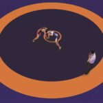 1500x900_1257-wrestling-mat