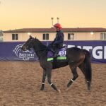 Dettori to End US Career After Breeders’ Cup