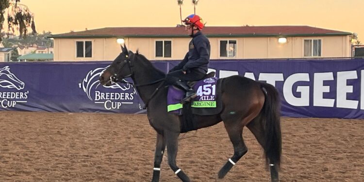 Dettori to End US Career After Breeders’ Cup