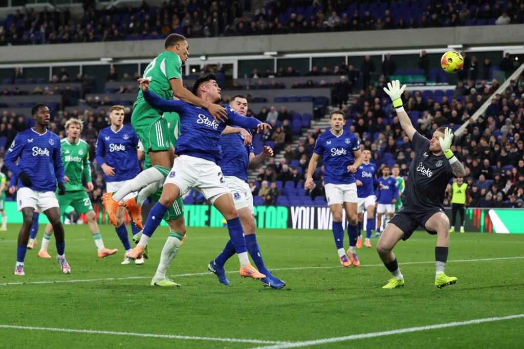 Newcastle beat Everton in the Premier League