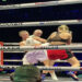 TKV Win Shakes Up Heavyweight Boxing Landscape