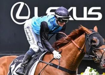 Jockeys’ Safety In Focus After Rising Concern Over On-Track Incidents