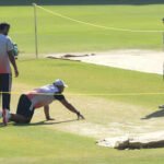 cricket