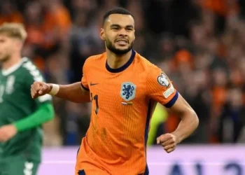 Netherlands Hammer Lithuania 4–0 to Seal World Cup Qualification