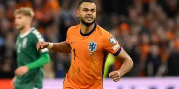 Netherlands Hammer Lithuania 4–0 to Seal World Cup Qualification