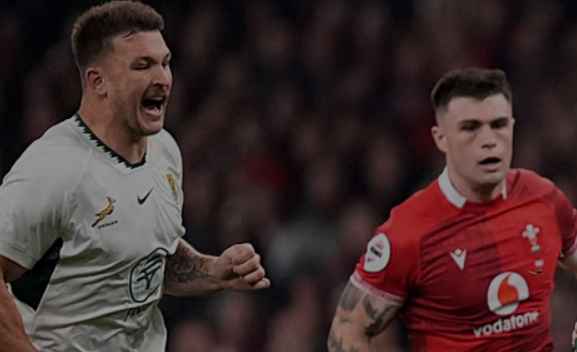 South Africa National Rugby Union Team Demolish Wales National Rugby Union Team 73–0 in Cardiff