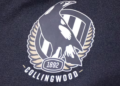 Collingwood staffer resigns after alcohol-fuelled incident at club camp