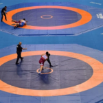 wrestling-mat-price-500×500