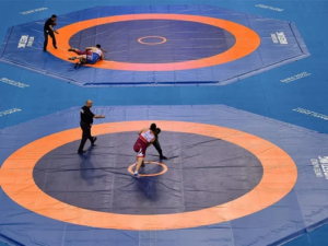 wrestling-mat-price-500×500