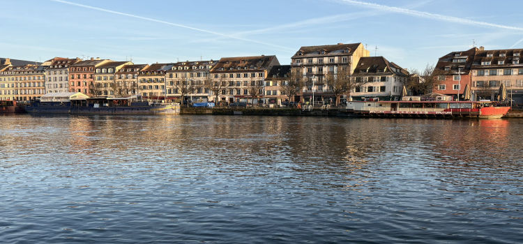 Are Fans Turning Against Multi-Club Ownership?