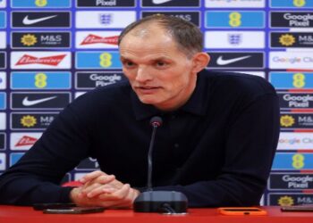 Wildcards and big calls shape World Cup squads