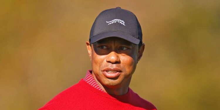 Tiger Woods Steps Away to Seek Treatment After Crash, Puts Career on Hold