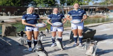 Wales Aim To End Ten Year Losing Run Against France