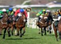 Grand National 2026 Shock As Nick Rockett Withdrawn From Aintree Race