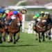 Grand National 2026 Shock As Nick Rockett Withdrawn From Aintree Race