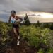 Kenyan Duo Dominates Transvulcania Uphill in La Palma