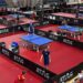 Portugal Open Set to Spotlight Europe’s Rising Table Tennis Stars