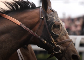 Kentucky Derby Winner Golden Tempo to Skip Preakness Stakes, Ending Triple Crown Hopes