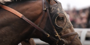 Kentucky Derby Winner Golden Tempo to Skip Preakness Stakes, Ending Triple Crown Hopes