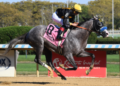 Napoleon Solo Claims Dramatic Victory In 151st Preakness Stakes