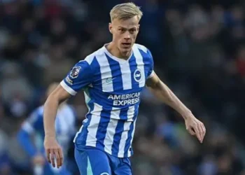 Tottenham Step Up Pursuit of Brighton Defender Jan Paul van Hecke After Initial Bid Rejected