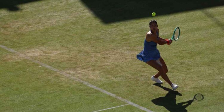 Wimbledon 2026: Williams Sisters Set for Emotional Reunion After Receiving Doubles Wild Card