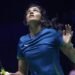 PV Sindhu Praises Delhi’s ‘Monkey Whisperers’ Ahead of World Championships: When Sport Meets an Unusual Indian Solution